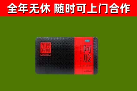 西青区回收阿胶