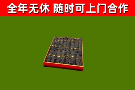 西青区回收海参